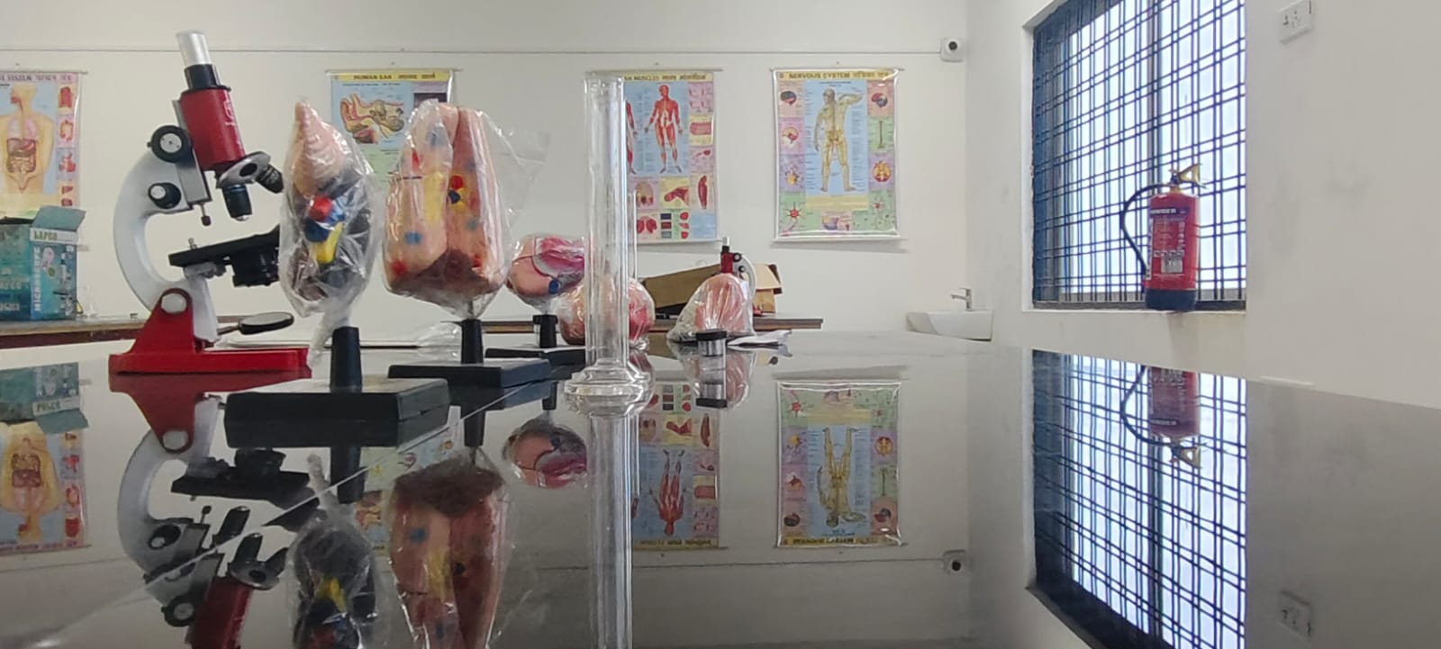 Learn Today, Lead Tomorrow